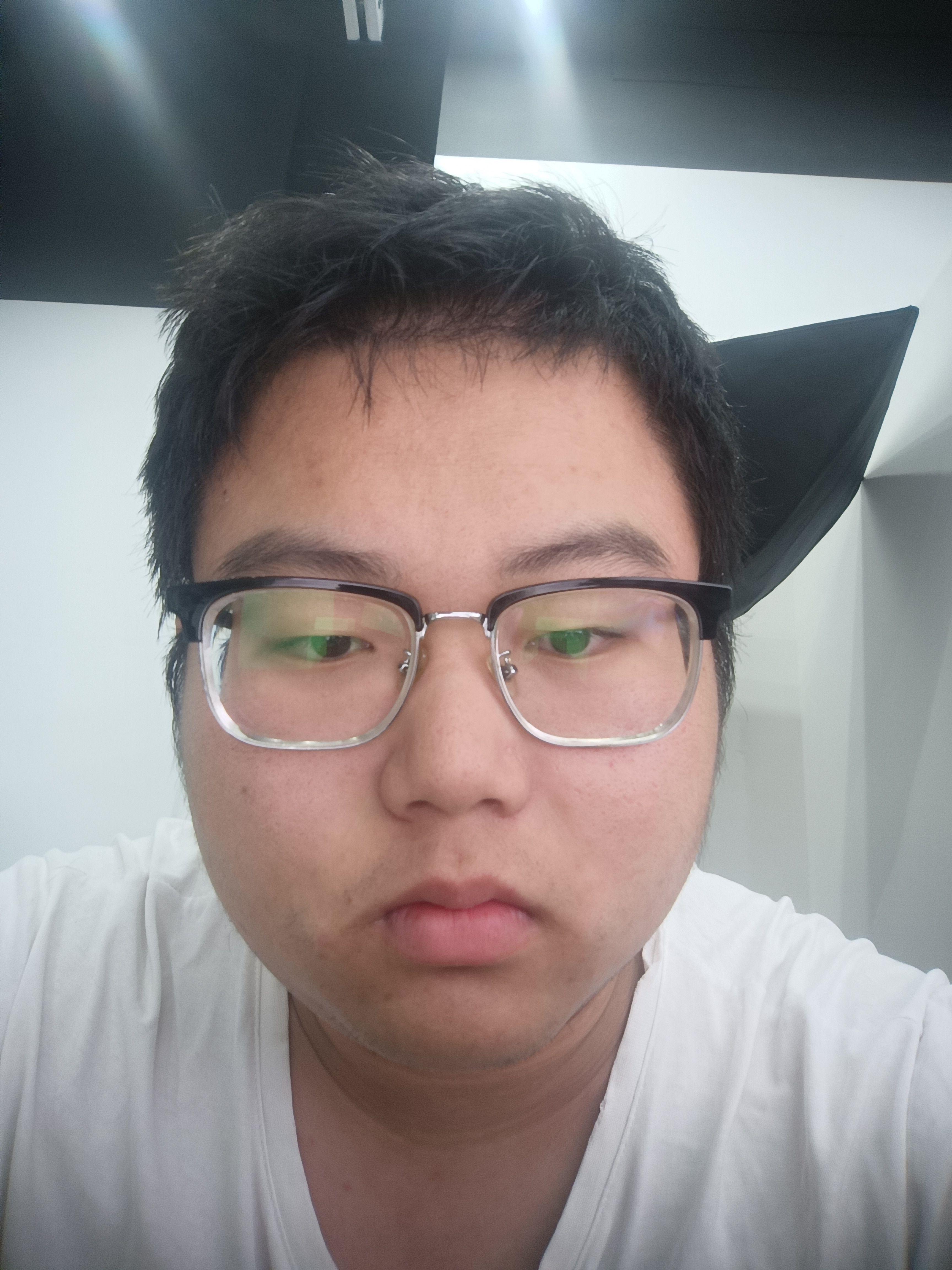 Youhao Hu